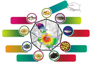 黑龙江又有9个产品获农产品地理标志认证(图)