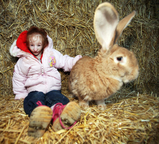 英迷你女孩身高仅68厘米农场玩耍遇巨兔