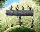 蚂蚁的童话世界
