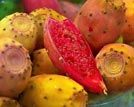 品尝涠洲岛奇异热带水果