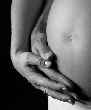 郁金香会影响胎儿发育